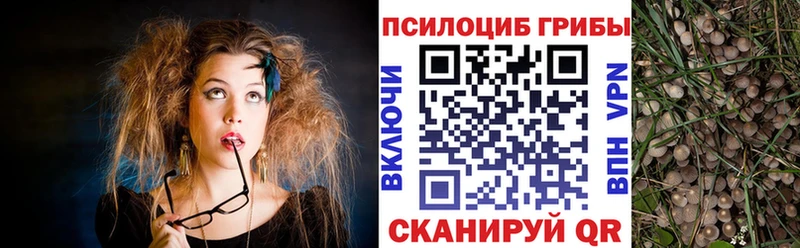 Галлюциногенные грибы мухоморы  Сураж 